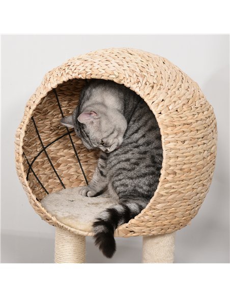 PawHut Cat Tree for Indoor Cats 100cm Kitten Climbing Tower Activity Center with Sisal Scratching Post Condo Perch Hanging Balls - pic 148004 | FastDaddyshop