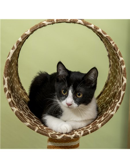 PawHut Giraffe-Designed Cat Tree, with Scratching Posts, Cat Tunnel, Toy Ball - Beige - pic 148321 | FastDaddyshop