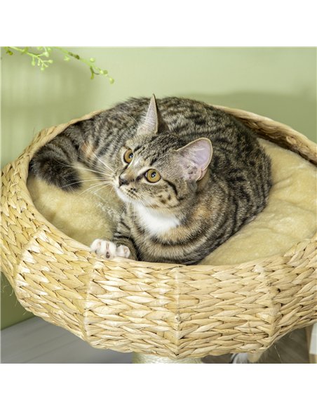 PawHut 51cm Cat Tree Kitten Tower, with Sisal Scratching Post, Top Bed, Toy Ball - pic 148337 | FastDaddyshop