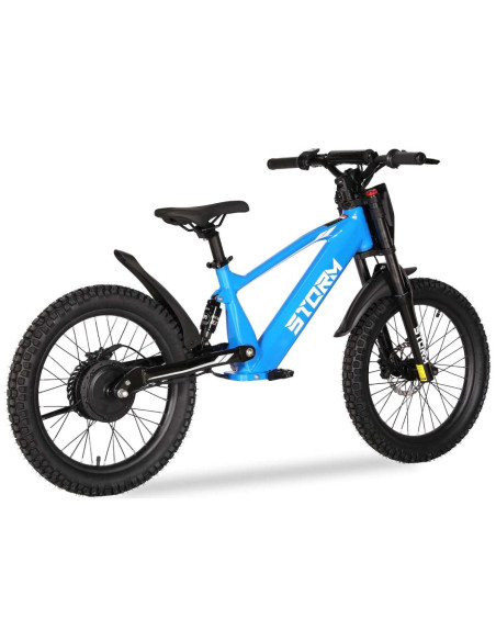 Storm Kids 500w 20" Electric Motorbike for 14+ Years Old, Blue, pic4 - pic 150269 | FastDaddyshop