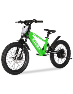 Storm Kids 500w 20" Electric Motorbike for 14+ Years Old, Green, pic1