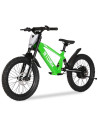 Storm Kids 500w 20" Electric Motorbike for 14+ Years Old, Green, pic1