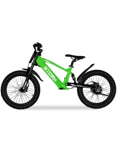 Storm Kids 500w 20" Electric Motorbike for 14+ Years Old, Green, pic2