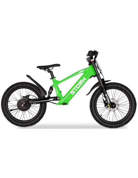 Storm Kids 500w 20" Electric Motorbike for 14+ Years Old, Green, pic5 - pic 150284 | FastDaddyshop