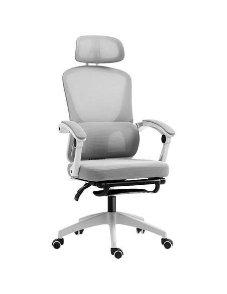 HOMCOM Ergonomic Office Chair, Mesh High Back Desk Chair with Adjustable Lumbar Support and Headrest, Footrest, Reclining Execut - pic 150523 | FastDaddyshop