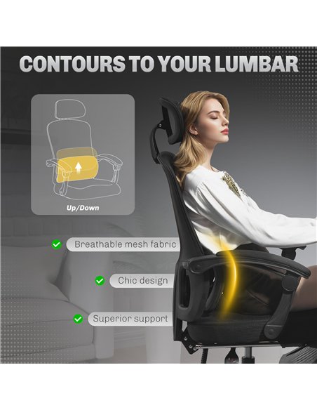 HOMCOM Ergonomic Office Chair, Mesh High Back Desk Chair with Adjustable Lumbar Support and Headrest, Footrest, Reclining Execut - pic 150545 | FastDaddyshop