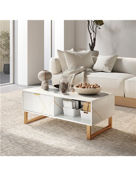 HOMCOM Elegant Marble Effect Storage Coffee Table - White - pic 151820 | FastDaddyshop