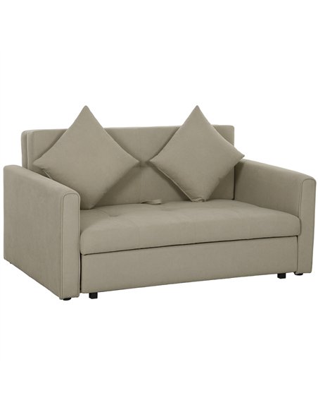 HOMCOM 2 Seater Sofa Bed, Convertible Bed Settee, Modern Velvet Loveseat Sofa Couch with 2 Cushions, Hidden Storage for Living R - pic 152845 | FastDaddyshop