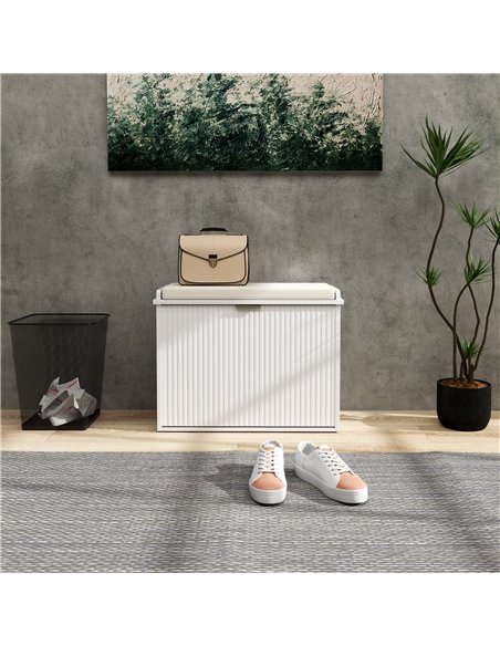 HOMCOM Elegant Six Shoe Bench, with Top Seat - White - pic 153193 | FastDaddyshop