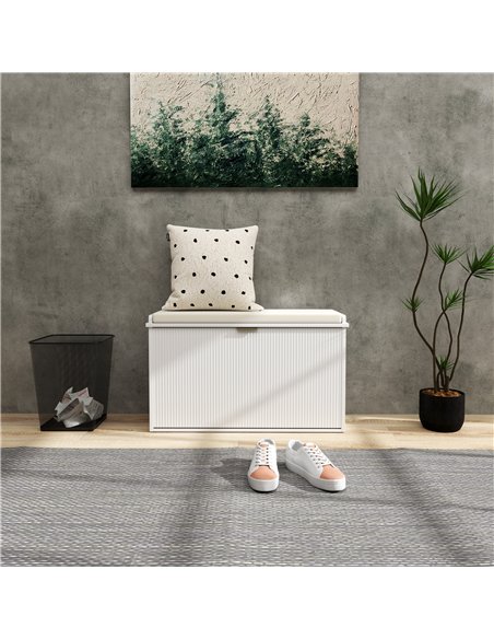 HOMCOM Elegant Eight Shoe Bench, with Top Seat - White - pic 153202 | FastDaddyshop