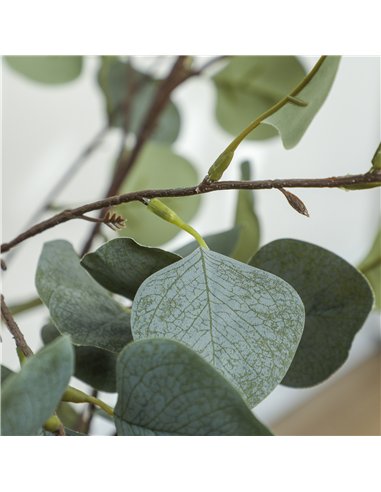 HOMCOM Set of 2 Decorative Artificial Plants, 4ft/ 120cm Silk Eucalyptus Trees with 230 Silver Dollar Leaves in Pot, Fake Plants