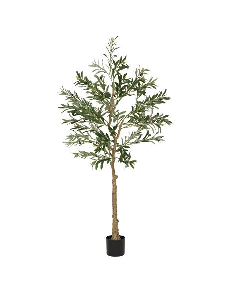 HOMCOM 5ft/ 150cm Decorative Artificial Plant, Silk Olive Tree with 720 Leaves and 32 Olive Fruits in Pot, Fake Plant for Home,  - pic 153871 | FastDaddyshop
