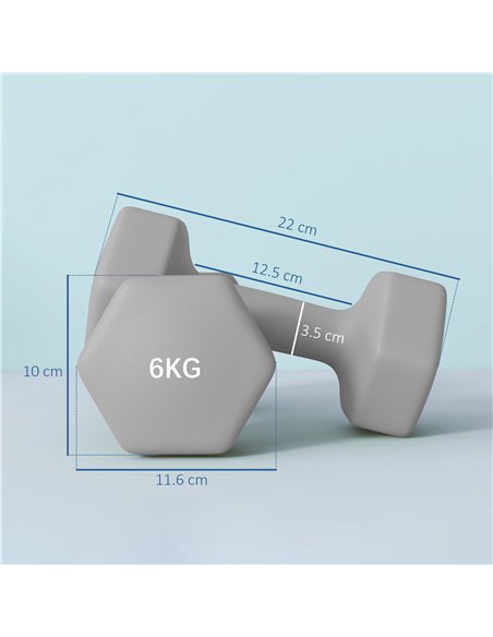 SPORTNOW 2 x 6kg Hexagonal Dumbbells Weights Set with Non-Slip Grip for Home Gym Workout, Grey - pic 154889 | FastDaddyshop