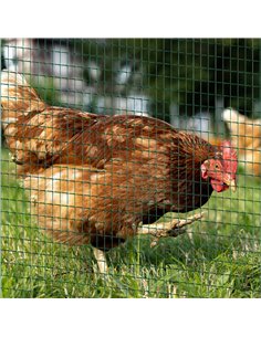 Pawhut PVC Coated Welded Wire Mesh Fencing Chicken Poultry Aviary Fence Run Hutch Pet Rabbit 30m Dark Green 2