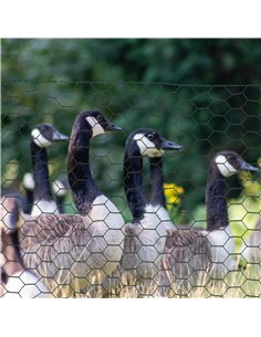 PawHut 1m x 25m Chicken Wire Mesh, Foldable PVC Coated Welded Garden Fence, Roll Poultry Netting, for Rabbits, Ducks, Geese - Da 2