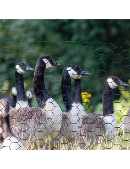 PawHut 1m x 25m Chicken Wire Mesh, Foldable PVC Coated Welded Garden Fence, Roll Poultry Netting, for Rabbits, Ducks, Geese - Da - pic 157435 | FastDaddyshop