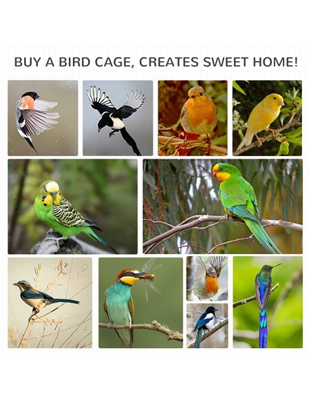 PawHut Wooden Outdoor Bird Cage, for Finches and Canaries, with Removable Tray, Asphalt Roof - Grey - pic 157927 | FastDaddyshop