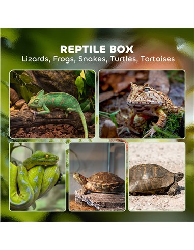 PawHut 40L Vivarium for Lizards, Frogs, Snakes, Turtles, Tortoises w/ Anti-Escape Design, Ventilation