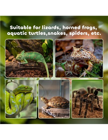 PawHut Glass Reptile Terrarium with Decor Kit, Breeding Tank with Thermometer for Small Animals, 50 x 30 x 25cm, Heated - Black