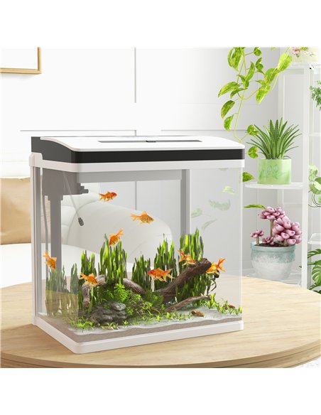 PawHut 28L Glass Aquarium Fish Tank with Filter, LED Lighting, for Betta, Guppy, Mini Parrot Fish, Shrimp, 38 x 26 x 39.5cm - pic 159244 | FastDaddyshop