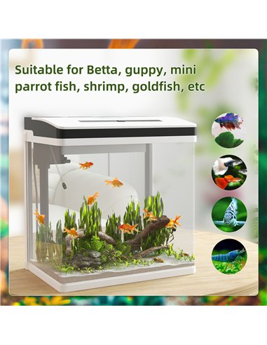 PawHut 28L Glass Aquarium Fish Tank with Filter, LED Lighting, for Betta, Guppy, Mini Parrot Fish, Shrimp, 38 x 26 x 39.5cm