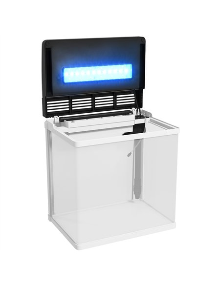 PawHut 28L Glass Aquarium Fish Tank with Filter, LED Lighting, for Betta, Guppy, Mini Parrot Fish, Shrimp, 38 x 26 x 39.5cm - pic 159250 | FastDaddyshop
