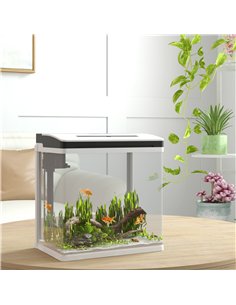 PawHut 13L Glass Aquarium Fish Tank with Filter, LED Lighting, for Betta, Guppy, Mini Parrot Fish, Shrimp, 29 x 20 x 30.5cm 2
