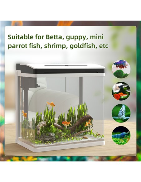 PawHut 13L Glass Aquarium Fish Tank with Filter, LED Lighting, for Betta, Guppy, Mini Parrot Fish, Shrimp, 29 x 20 x 30.5cm - pic 159255 | FastDaddyshop