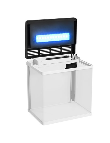 PawHut 13L Glass Aquarium Fish Tank with Filter, LED Lighting, for Betta, Guppy, Mini Parrot Fish, Shrimp, 29 x 20 x 30.5cm - pic 159259 | FastDaddyshop