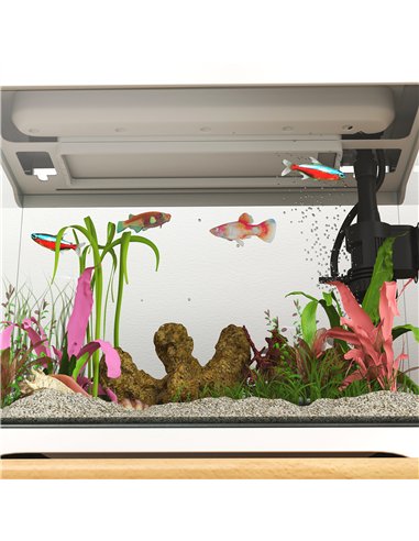 PawHut 17L Glass Fish Tank with Filter System, LED Light, Water Pump, for Betta, Goldfish, Shrimps, White