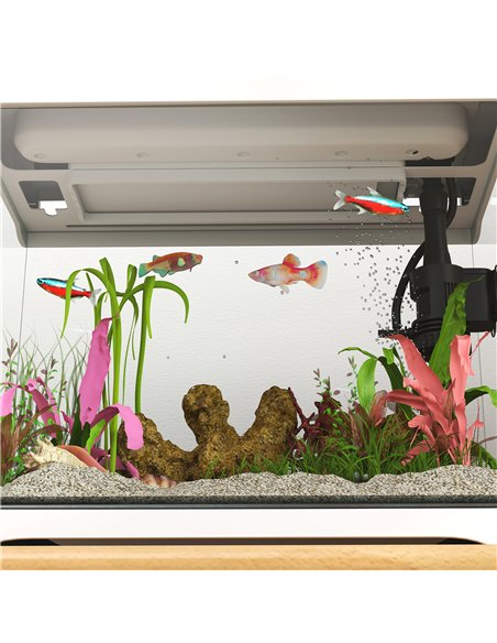 PawHut 17L Glass Fish Tank with Filter System, LED Light, Water Pump, for Betta, Goldfish, Shrimps, White - pic 159295 | FastDaddyshop