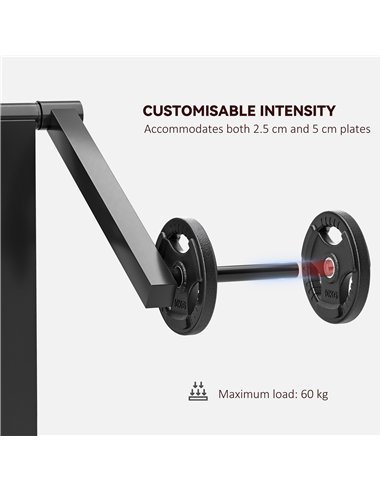 SPORTNOW Adjustable Preacher Curl Bench, Multi-Functional Weight Bench with Handlebar and Elbow Cushion for Home and Outdoor Gym