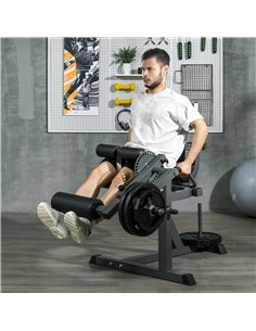 SPORTNOW Seated Leg Extension Machine, Adjustable Leg Raise Machine and Curl Machine with Plate Loaded for Hip, Thigh, Lower Bod 2