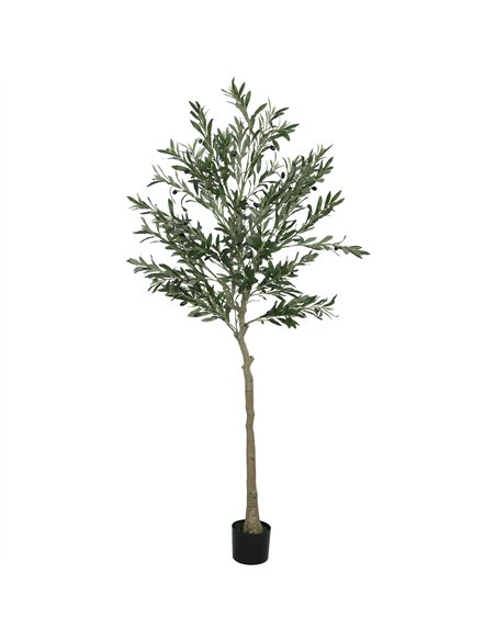 HOMCOM 6ft/ 180cm Decorative Artificial Plant, Silk Olive Tree with 900 Leaves and 40 Olive Fruits in Pot, Fake Plant for Home,  - pic 160797 | FastDaddyshop