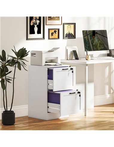 HOMCOM 2-Drawer Filing Cabinet with Lock - White