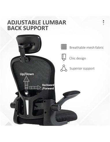 Vinsetto Multi-Adjustable Office Chair, with Lumbar Support, Headrest and Mesh Back - Black