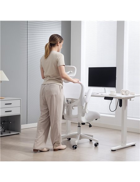 Vinsetto Multi-Adjustable Office Chair, with Lumbar Support, Headrest and Mesh Back - White - pic 163450 | FastDaddyshop
