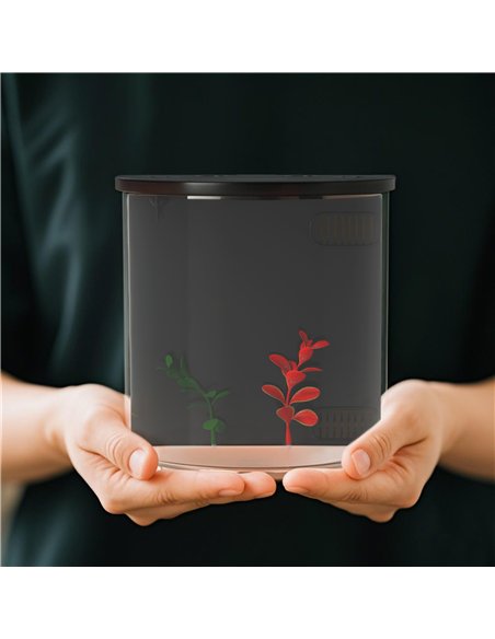 PawHut 3L Small Fish Tank with Filter System, LED Light, Small Fish Tank for Betta, Goldfish, Shrimp, Black - pic 164232 | FastDaddyshop