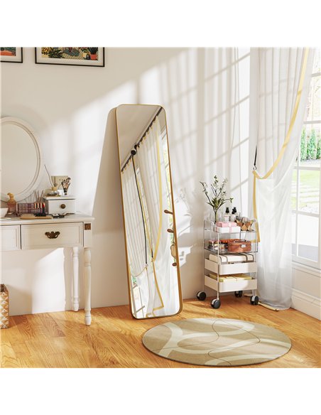 HOMCOM 40 x 160 cm Rectangular Full Length Mirror - Gold Tone - pic 166717 | FastDaddyshop