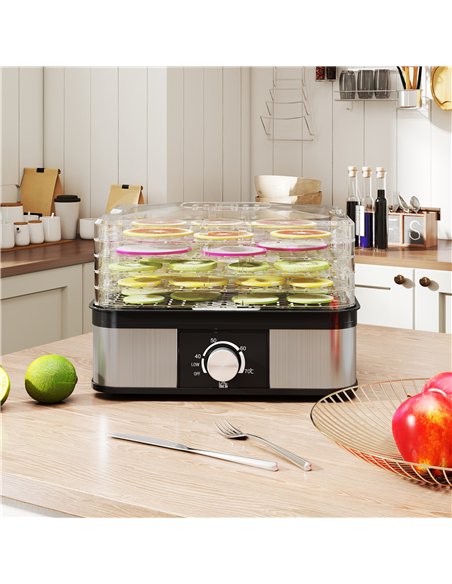 HOMCOM 5 Tier Food Dehydrator, 245W Stainless Steel Food Dryer Machine with Adjustable Temperature for Drying Fruit, Meat, Veget - pic 168794 | FastDaddyshop