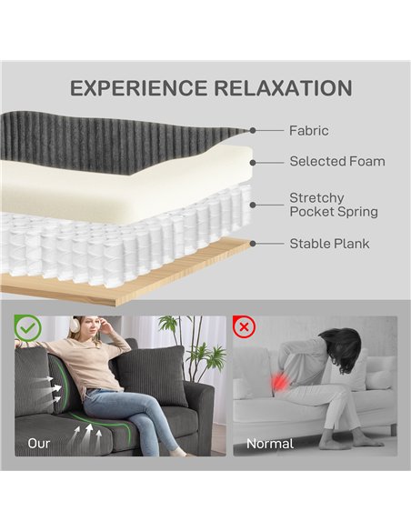 HOMCOM Modern 3 Seater Sofa with Spring Cushion, 212 cm Fabric Jumbo Cord Sofa Couch with 2 Scatter Cushions, Upholstered Cordur - pic 169633 | FastDaddyshop