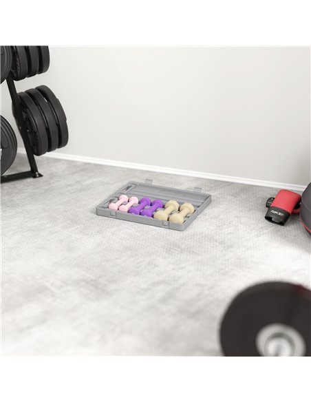 HOMCOM 6Kg Dumbbell Set, Fitness Weight Set for Men and Women, Home Gym Workout, Pink, Purple, Brown - pic 170087 | FastDaddyshop