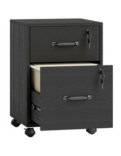 HOMCOM Rolling File Cabinet with 2 Drawers, Mobile Filing Cabinet with Hanging File Folder for Letter Sized Documents, Black