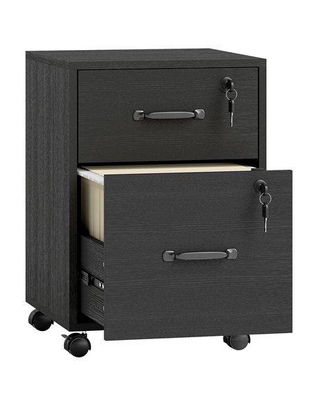 HOMCOM Rolling File Cabinet with 2 Drawers, Mobile Filing Cabinet with Hanging File Folder for Letter Sized Documents, Black - pic 171402 | FastDaddyshop