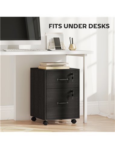 HOMCOM Rolling File Cabinet with 2 Drawers, Mobile Filing Cabinet with Hanging File Folder for Letter Sized Documents, Black