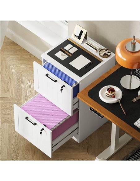 HOMCOM 2 Drawer Filing Cabinet with Lock, Office Storage Cabinet with Adjustable Hanging Bars for A4 Letter Size Files, White - pic 171428 | FastDaddyshop