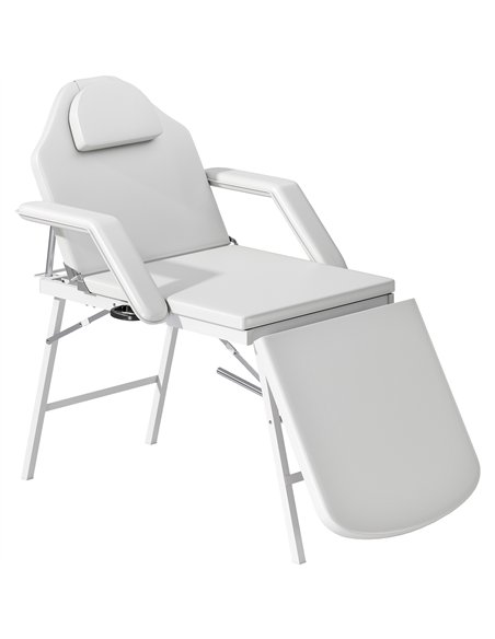 HOMCOM Portable Massage Table, 3 Section Adjustable Beauty Bed, Foldable Massage Bed with Face Hole, Recliner Chair with Removab - pic 172050 | FastDaddyshop