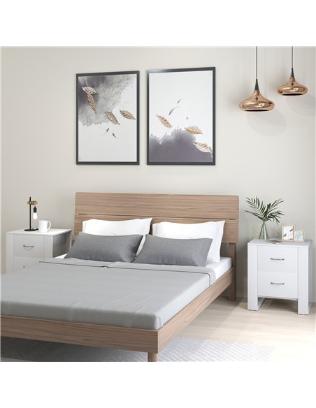 HOMCOM Bedside Table Set of 2 with 2 Drawers, Nightstands with Handles and Elevated Base, Side Tables for Bedroom, Living Room,  - pic 173752 | FastDaddyshop