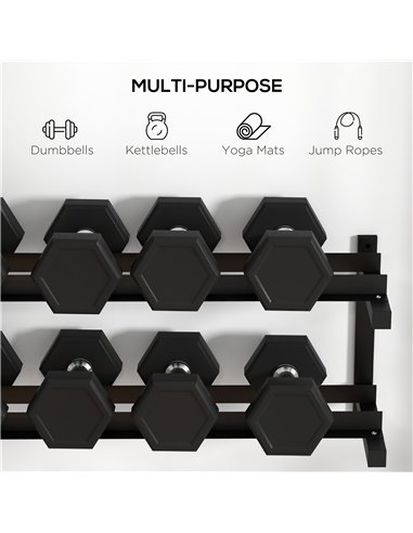 SPORTNOW Wall-Mounted Dumbbell Rack, 2-Tier Weight Stand, Space-Saving and Multi-Functional Steel organiser for Home Gym, Black