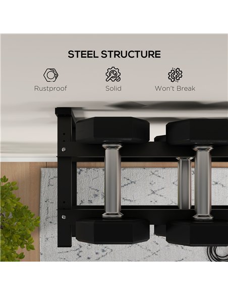 SPORTNOW Wall-Mounted Dumbbell Rack, 2-Tier Weight Stand, Space-Saving and Multi-Functional Steel organiser for Home Gym, Black - pic 174143 | FastDaddyshop